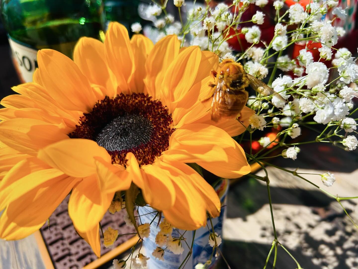 Even the bees love the Market! #farmersmarketatadc #farmersmarketatardovinosdc #freshflowers #bees #sunflowers🌻 #ardovinosdc