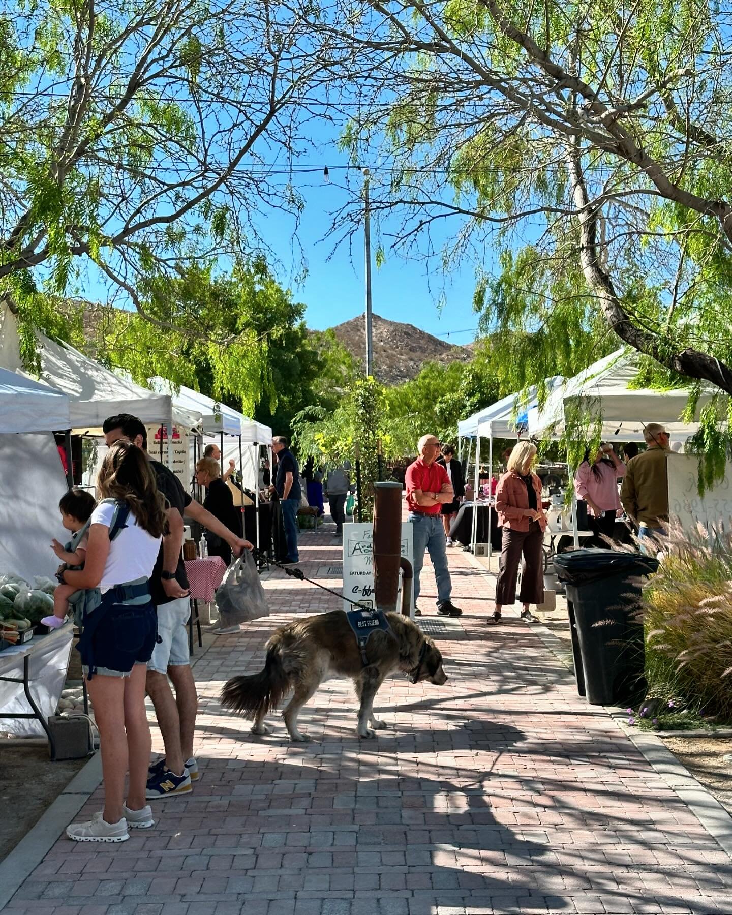It&rsquo;s a beautiful morning for a farmers&rsquo; market!  #farmersmarketatadc #farmersmarketatardovinosdesertcrossing #nmfma #newmexicotrue #sunlandparknm #elpasotx #localvendors #aslocalasitgets #ardovinosdesertcrossing #ardovinosdc #locallygrown