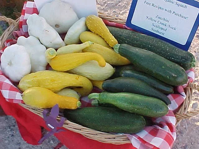 squash@market.JPG