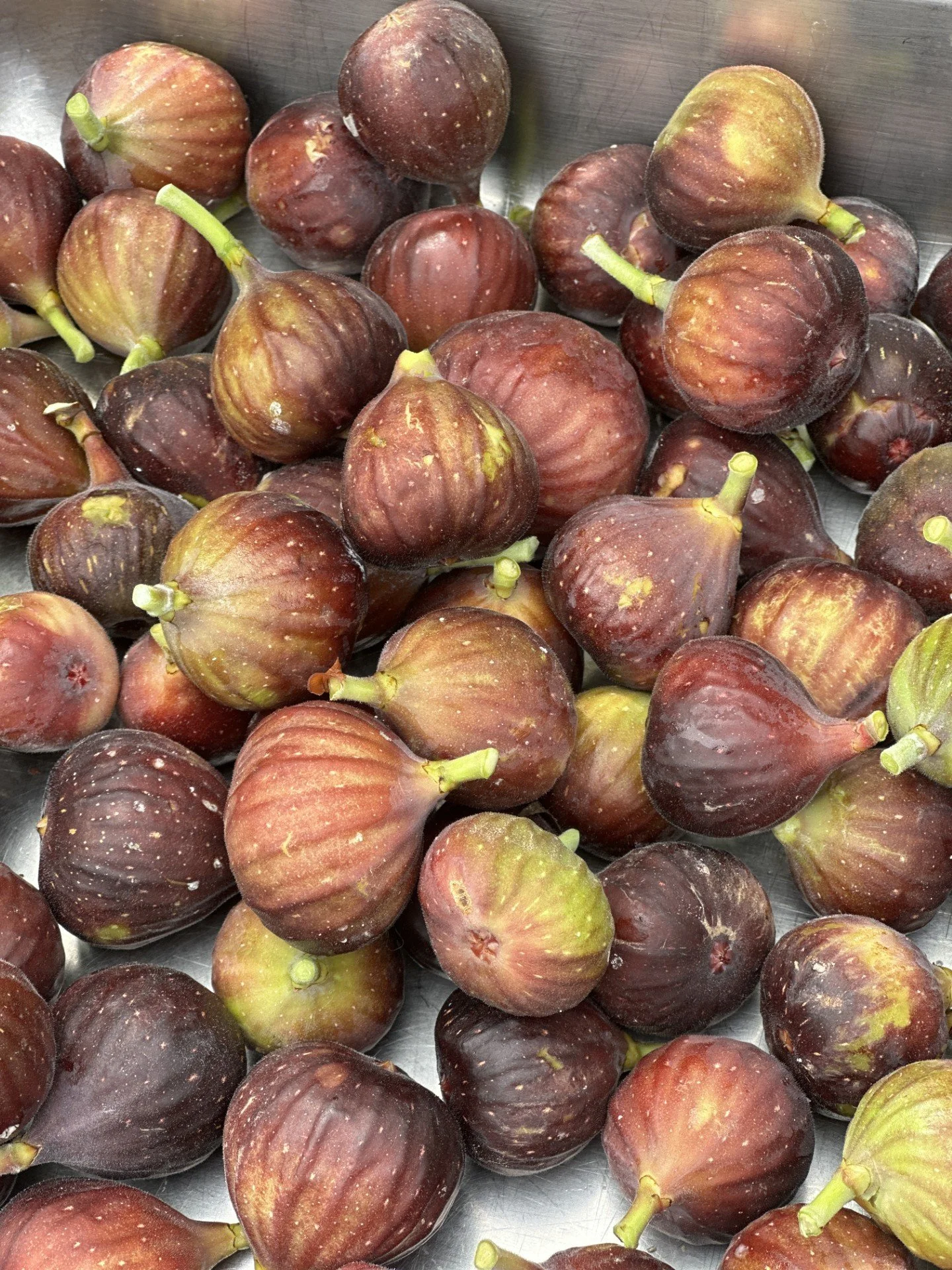 Figs.jpg
