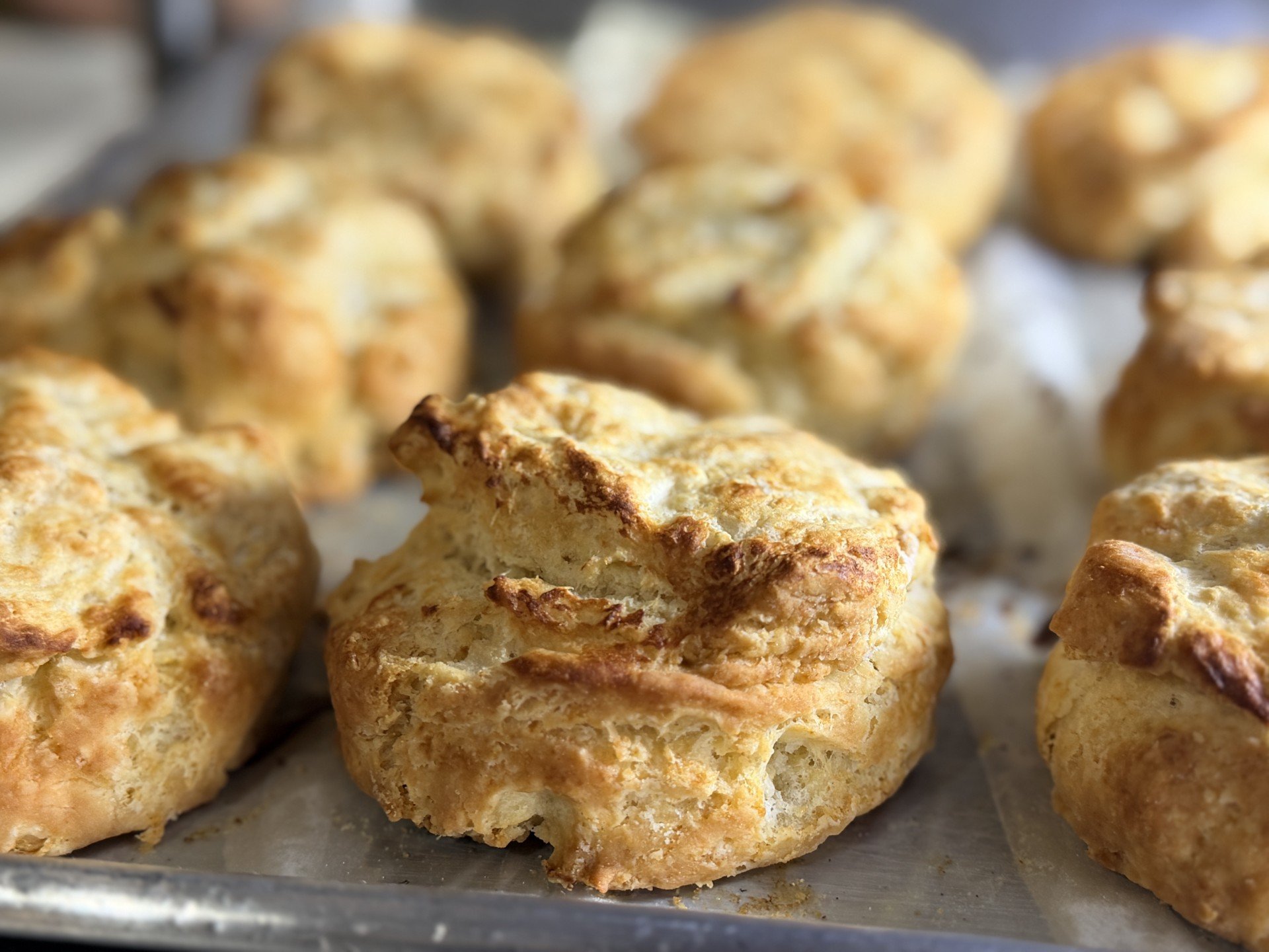 Biscuits.jpg