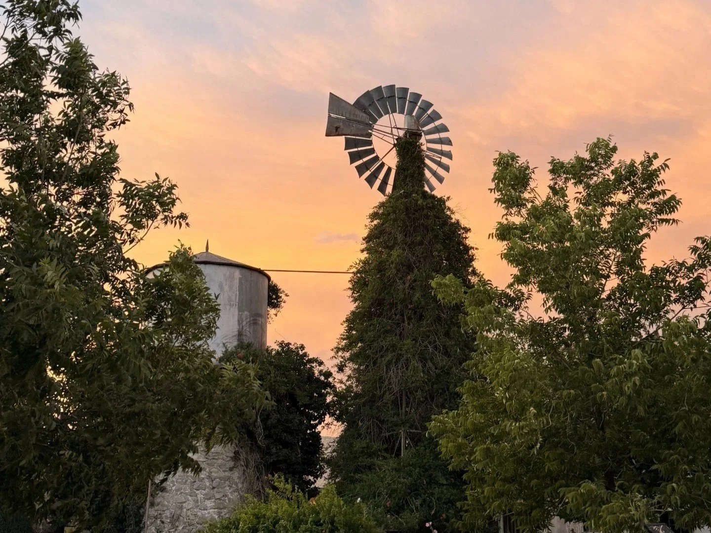 Windmill+Dusk.jpg