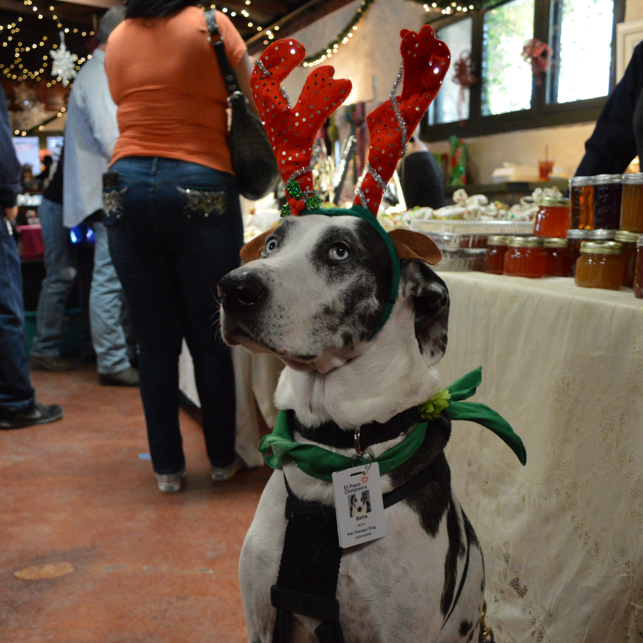 Holiday+Market+2016+%2842%29.png