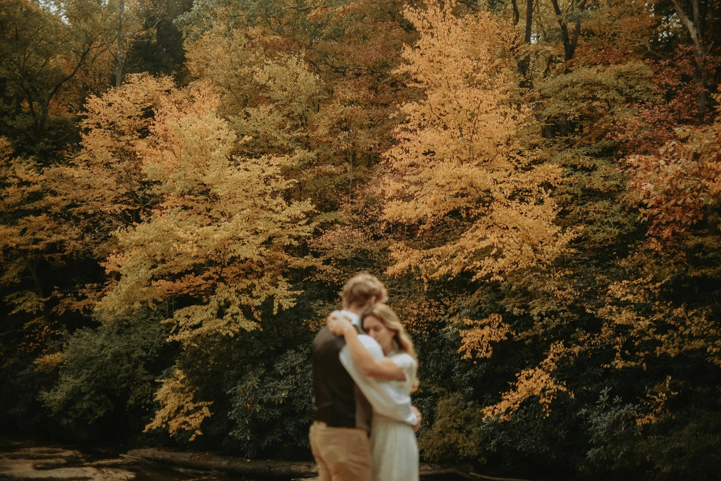 How to Plan Your Ohiopyle Elopement: A Step-by-Step Guide 