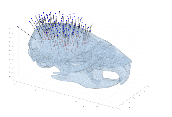 3D graph of a fossil skull with data points and vectors overlaid.