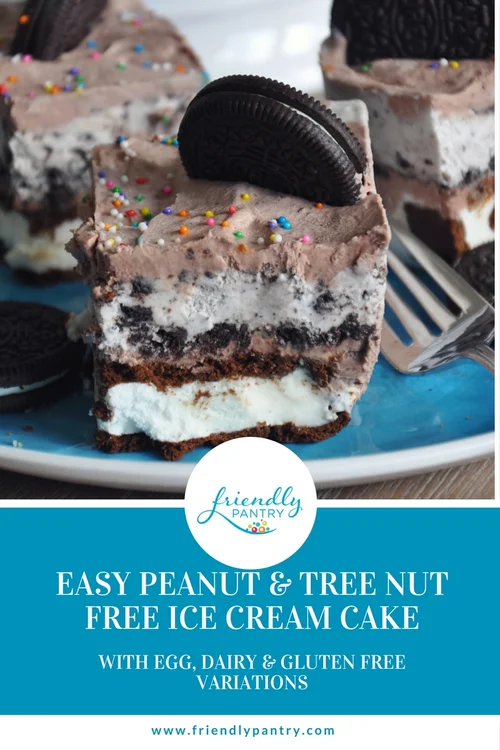 Easy Peanut Tree Nut Free Ice Cream Cake With Dairy Free Gluten Free Egg Free Modifications Friendly Pantry Food Allergy Consulting Inc