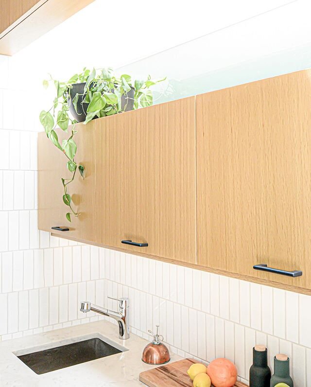 We designed the skylight in our #concretecasita to be south facing and the light well is combined to help illuminate both the kitchenette and the bathroom.⁠⠀
.⁠⠀
#austinarchitecture #austinarchitects #austinhomes #austinliving #atxarchitecture #austi