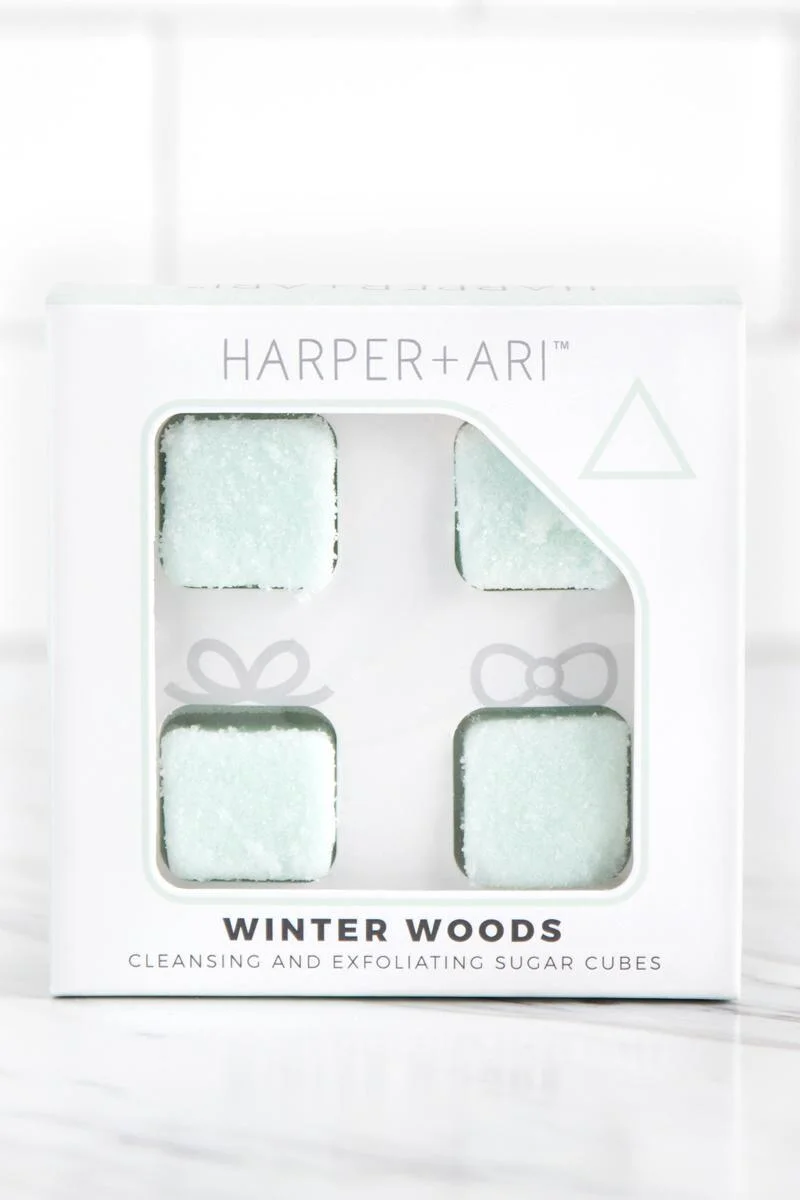 ha winter woods.jpeg