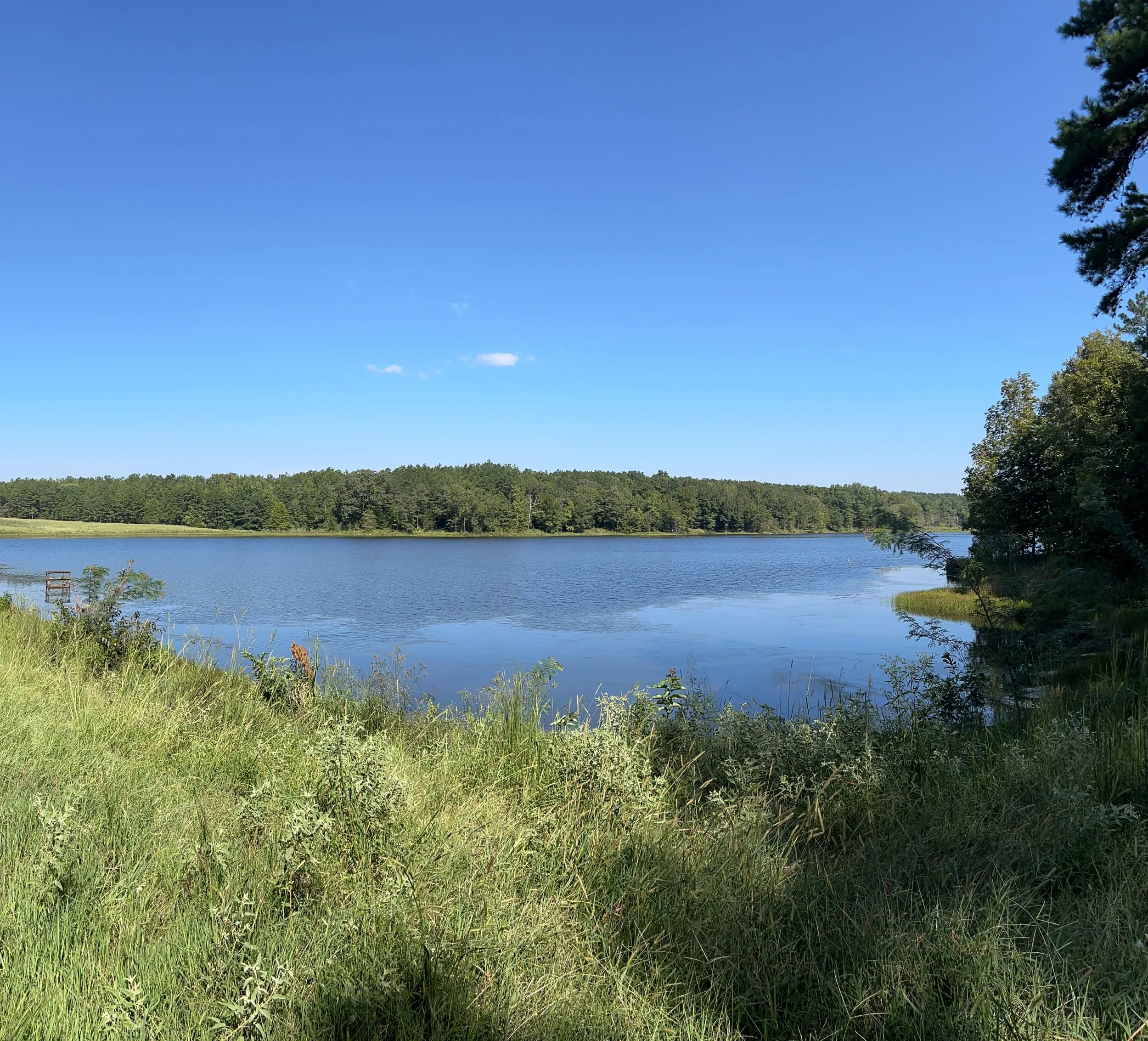 IMG_5224.jpeg