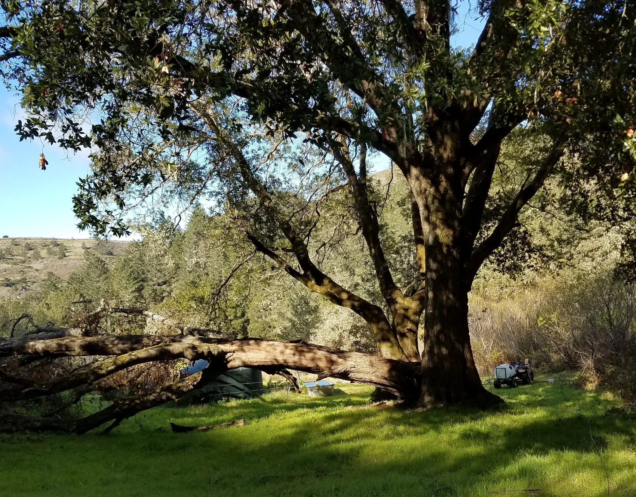 20180227_091503.jpg