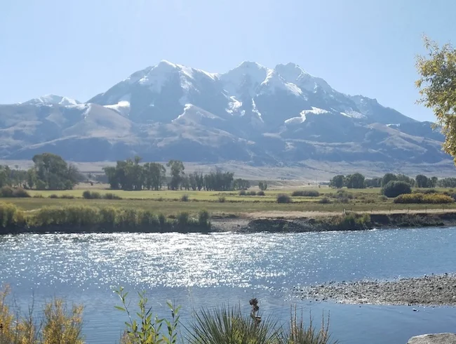 Regenerative Agriculture Meets Silicon Valley