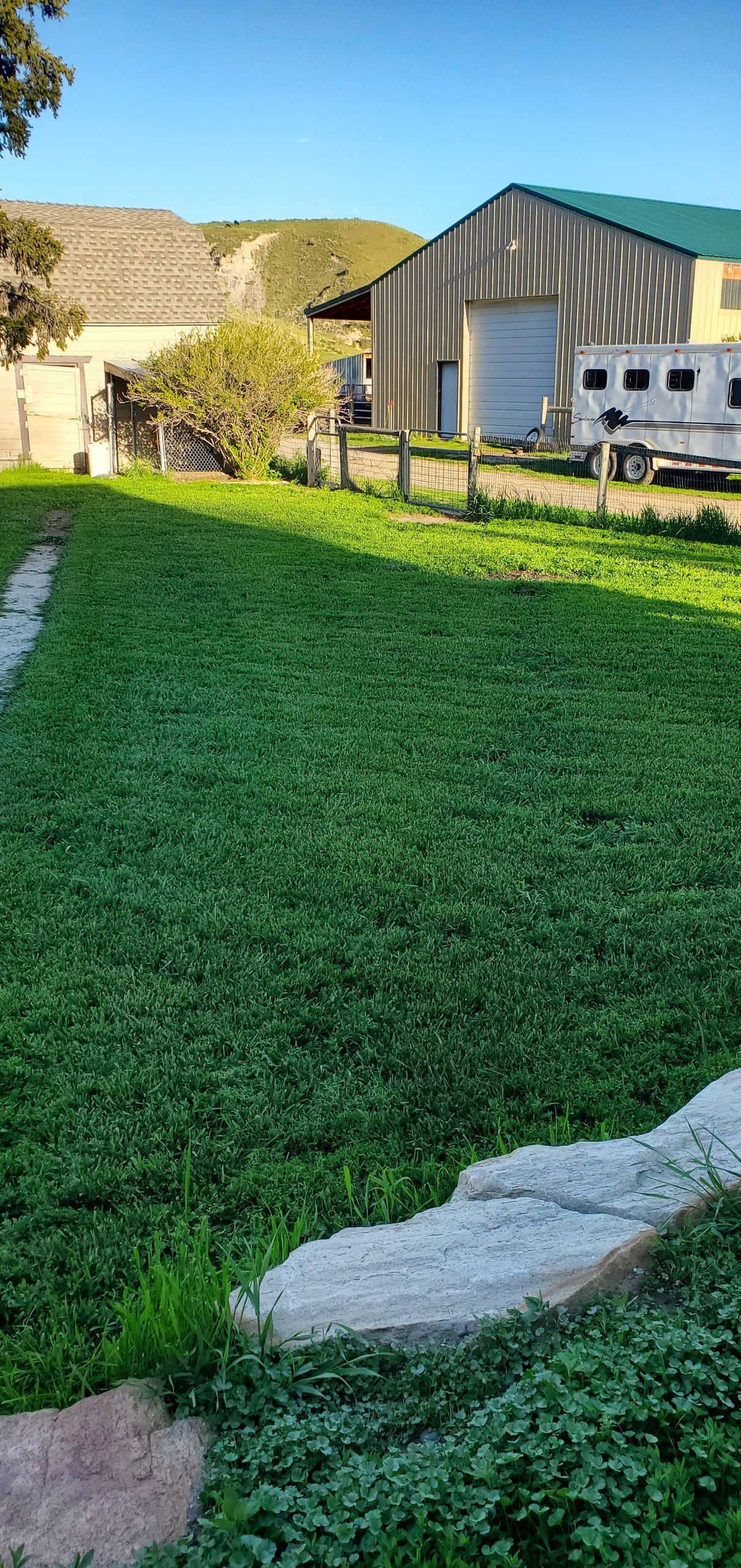 Seeding with Biology