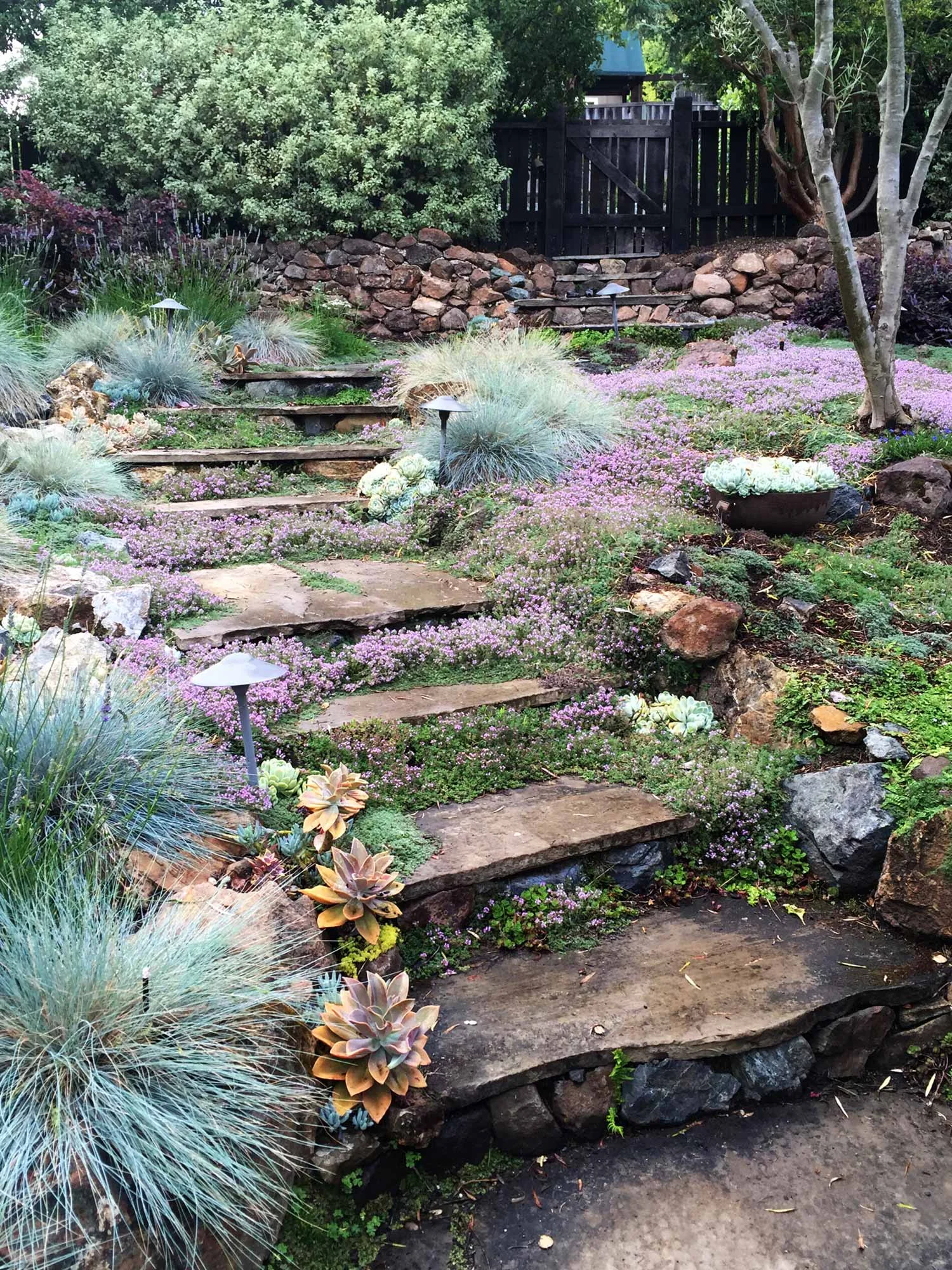 rockridge-client2-6.jpg