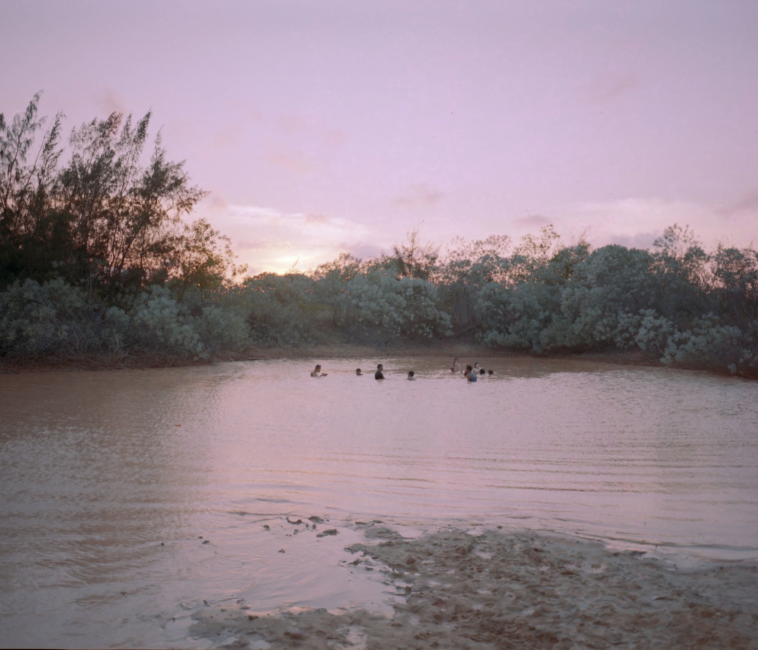 Néha Hirve, Full Shade / Half Sun