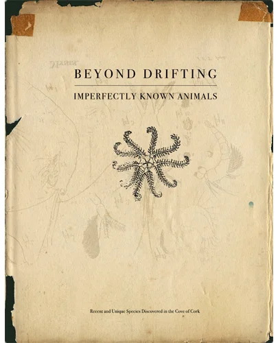 beyonddrifting.jpg