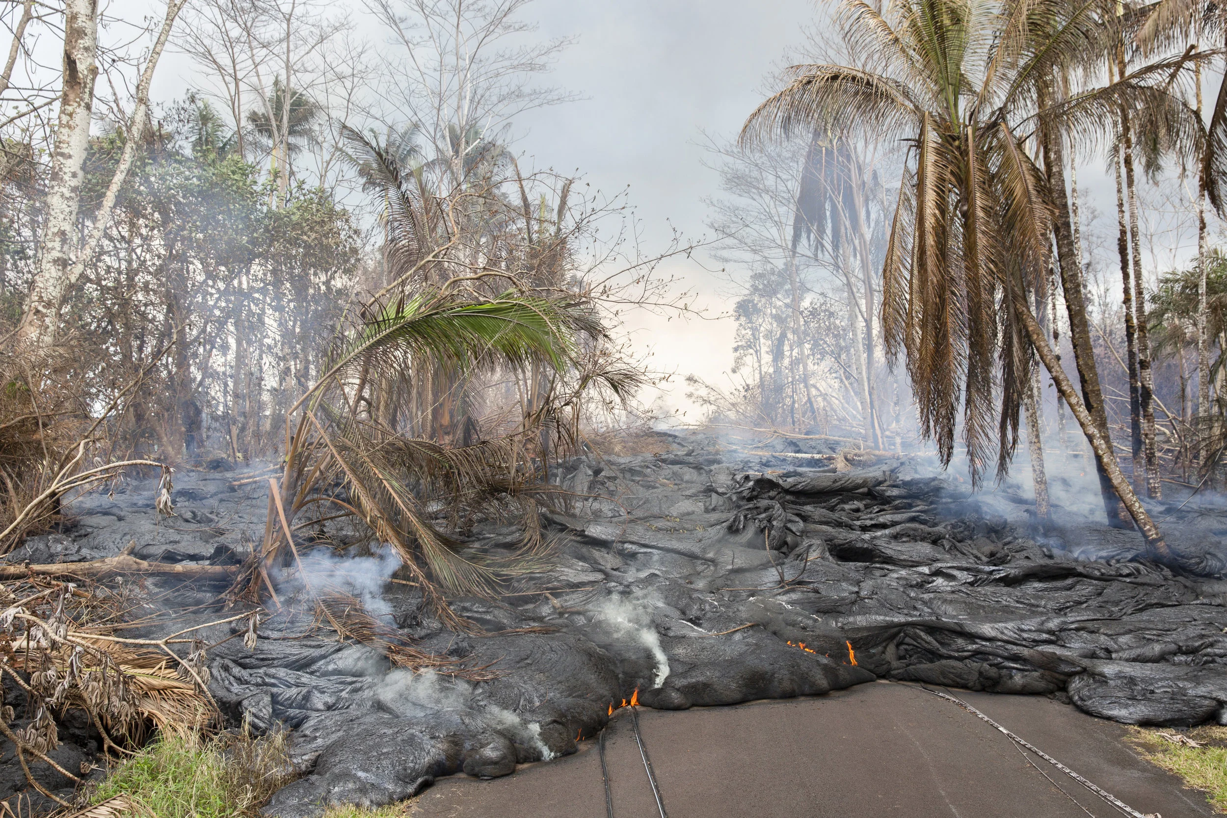 GAIA SQUARCI www.gaiasquarci.com | @gaiasqarci Lava from Fissure 7 of the eruption of Kilauea volcano advances on the street in the residential area of Leilani Estates, Big Island, Hawaii.