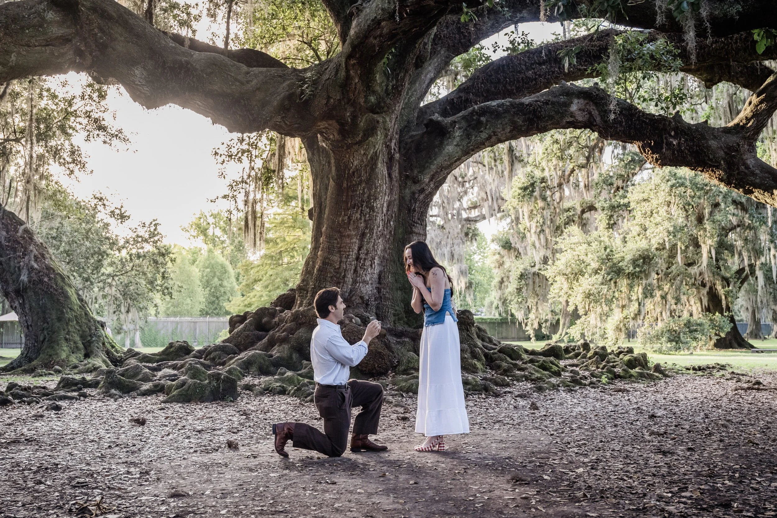 A person kneeling down and proposing to their partner in front of a large tree