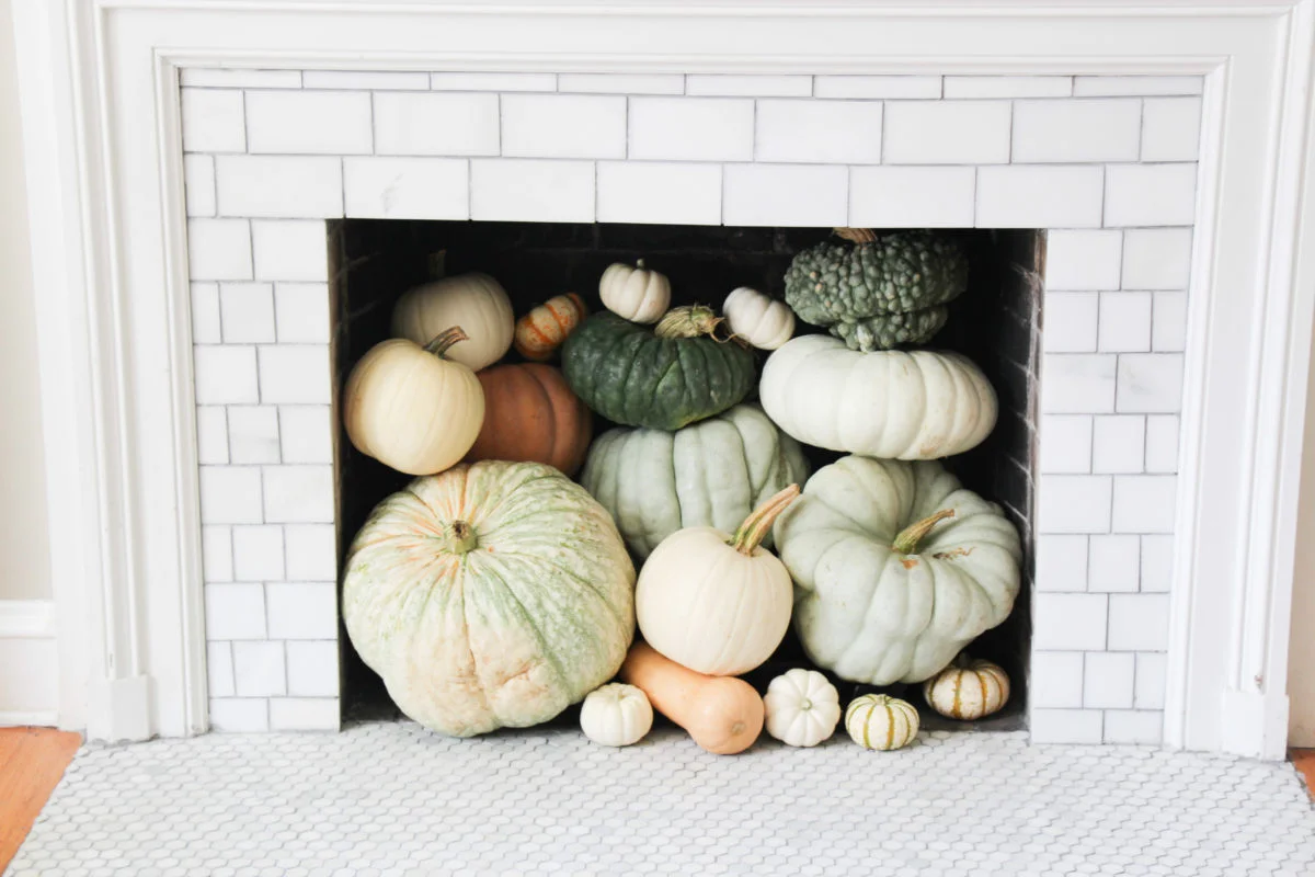 Image via Sarah Tucker