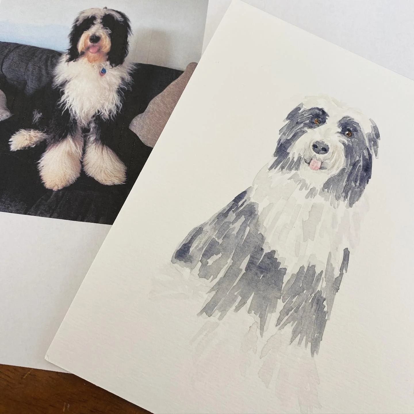 So fluffy 🖤🐩🐾 #watercolorpetportrait #watercolordog