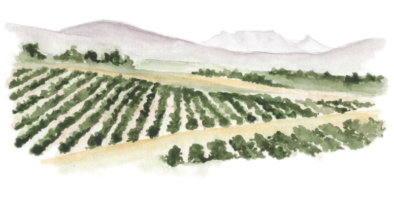 Herzegovina Wine Route