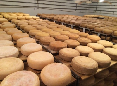 Pleasant Ridge Reserve as far as the eye can see