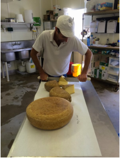 Andy Hatch letting us taste some freshly cut Pleasant Ridge Reserve