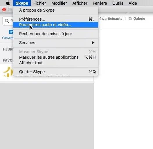 appel video désactiver skype
