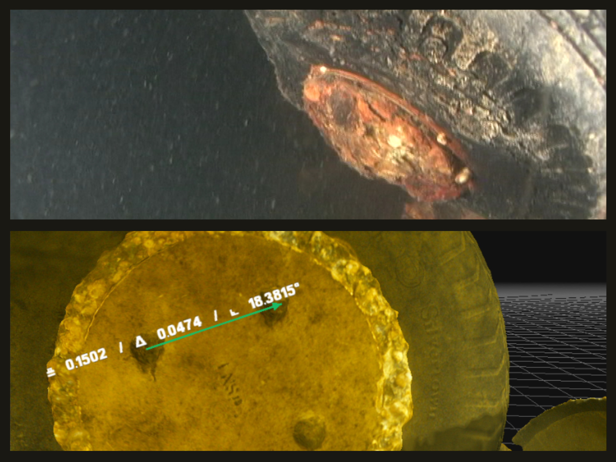 What Is Underwater Photogrammetry and How Is It Used to Document Submerged Environments