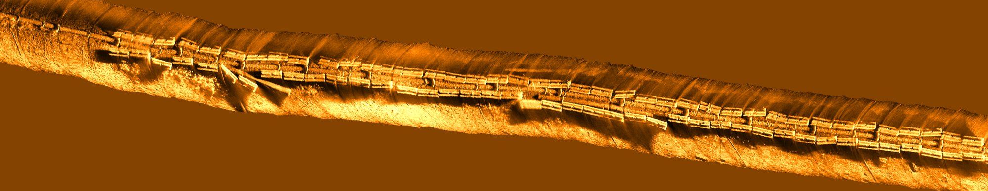 Untitled design (22).png