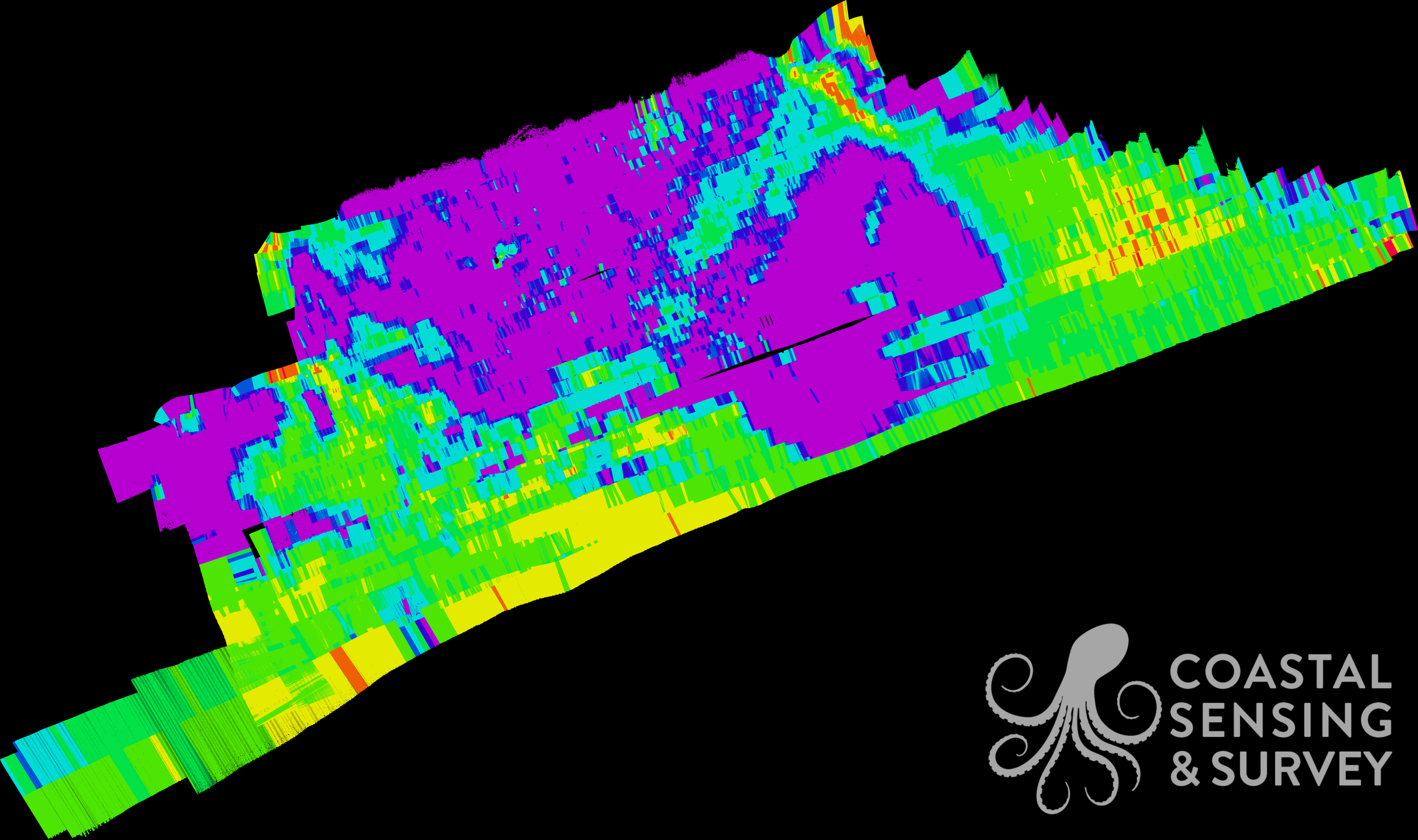 Hat Island: This ARA Calibrated Beam Backscatter image represents sand infiltration into a bull kelp bed lowering the habitable seafloor for the kelp. The purple section is the kelp bed and the green swath flowing through the middle is the sand infil