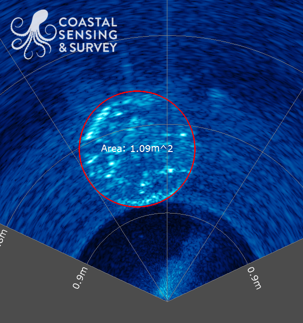 MBO FLS still Measurement2.png