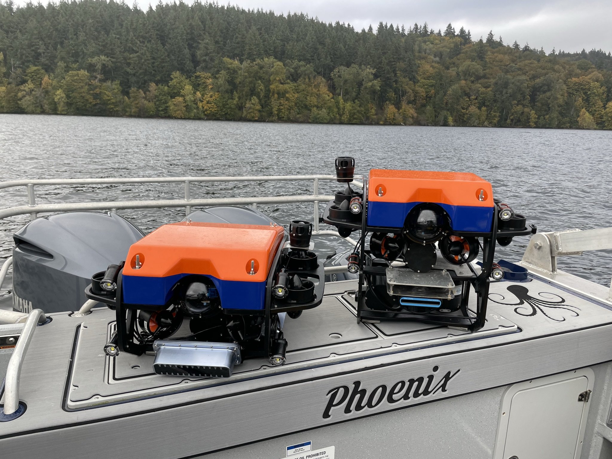 ROV - Inspection — Coastal Sensing & Survey