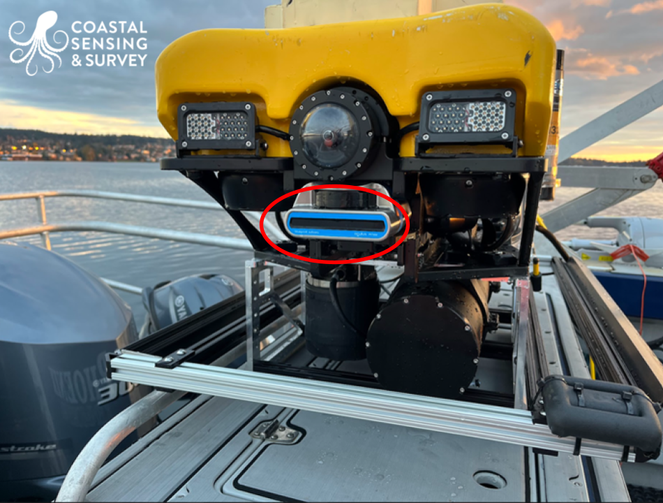 FLS on ROV