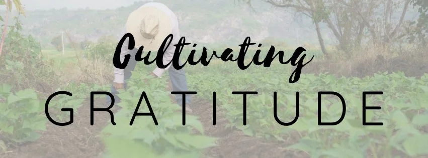 Cultivating Gratitude: A Path to Joy, Dependence, and Spiritual Awareness