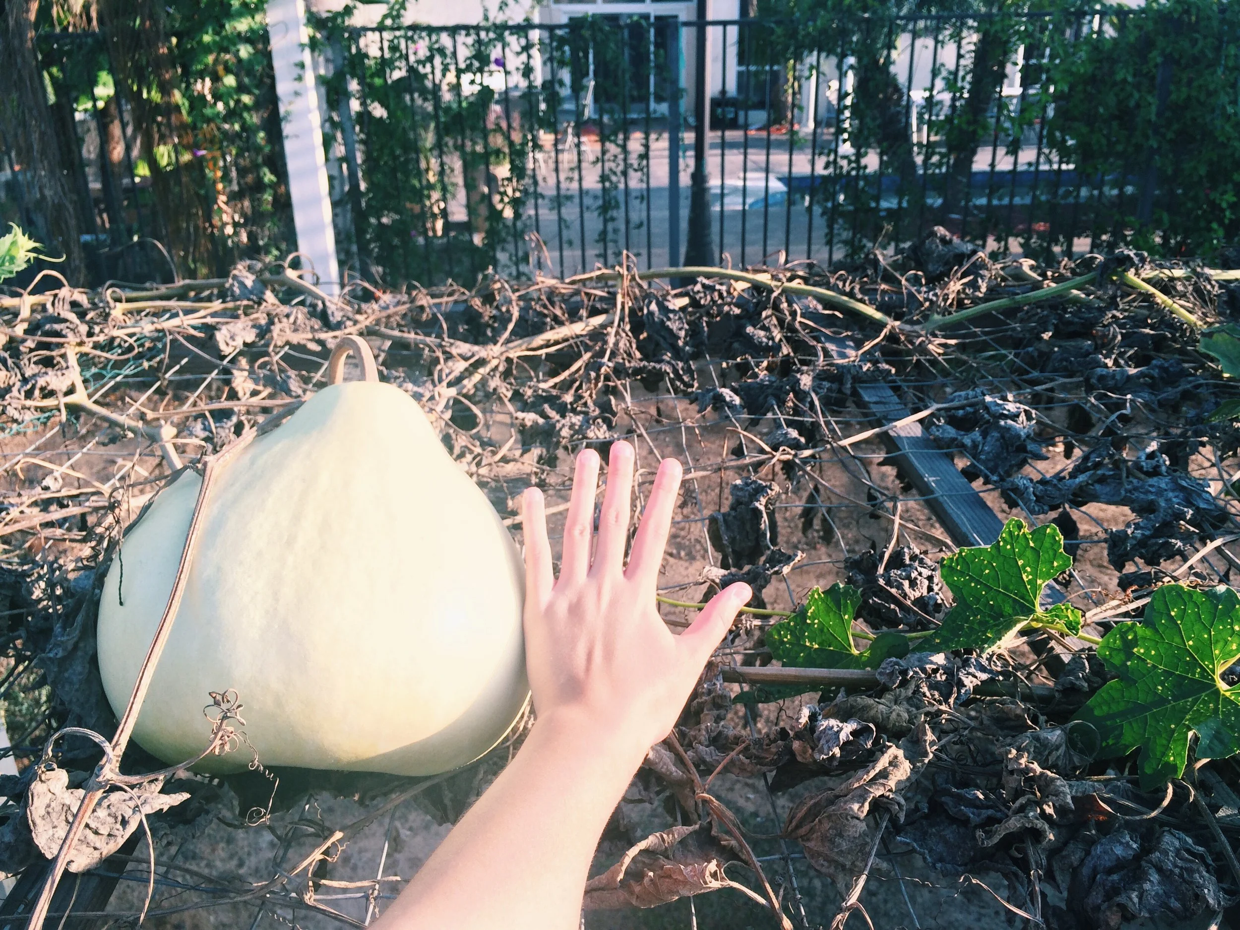 it was quite large.