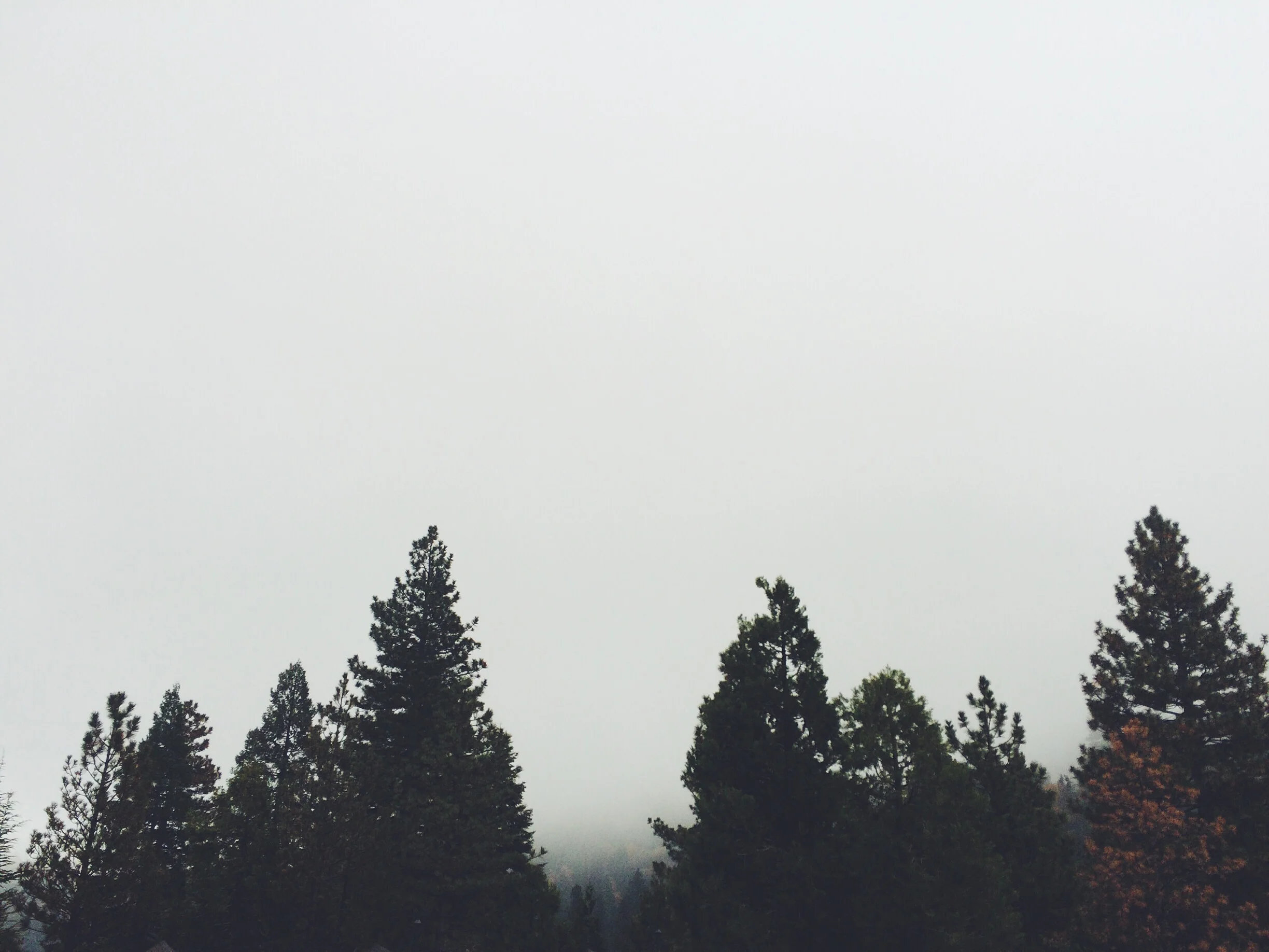 mountainside