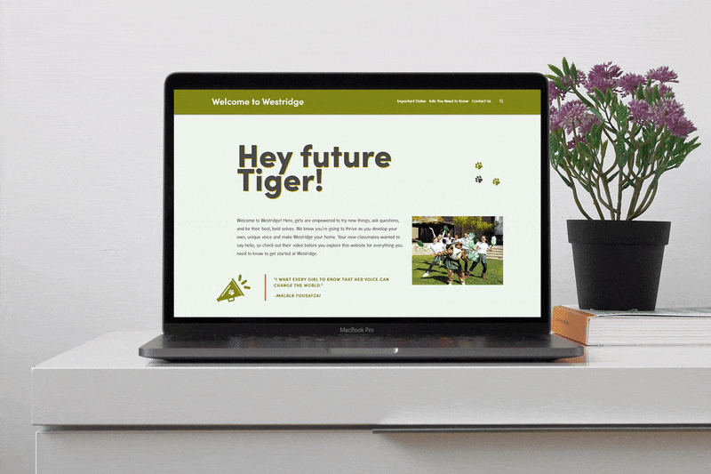 Above: The 2019 refresh features an updated color scheme, a fixed nav, + new illustrative animations.