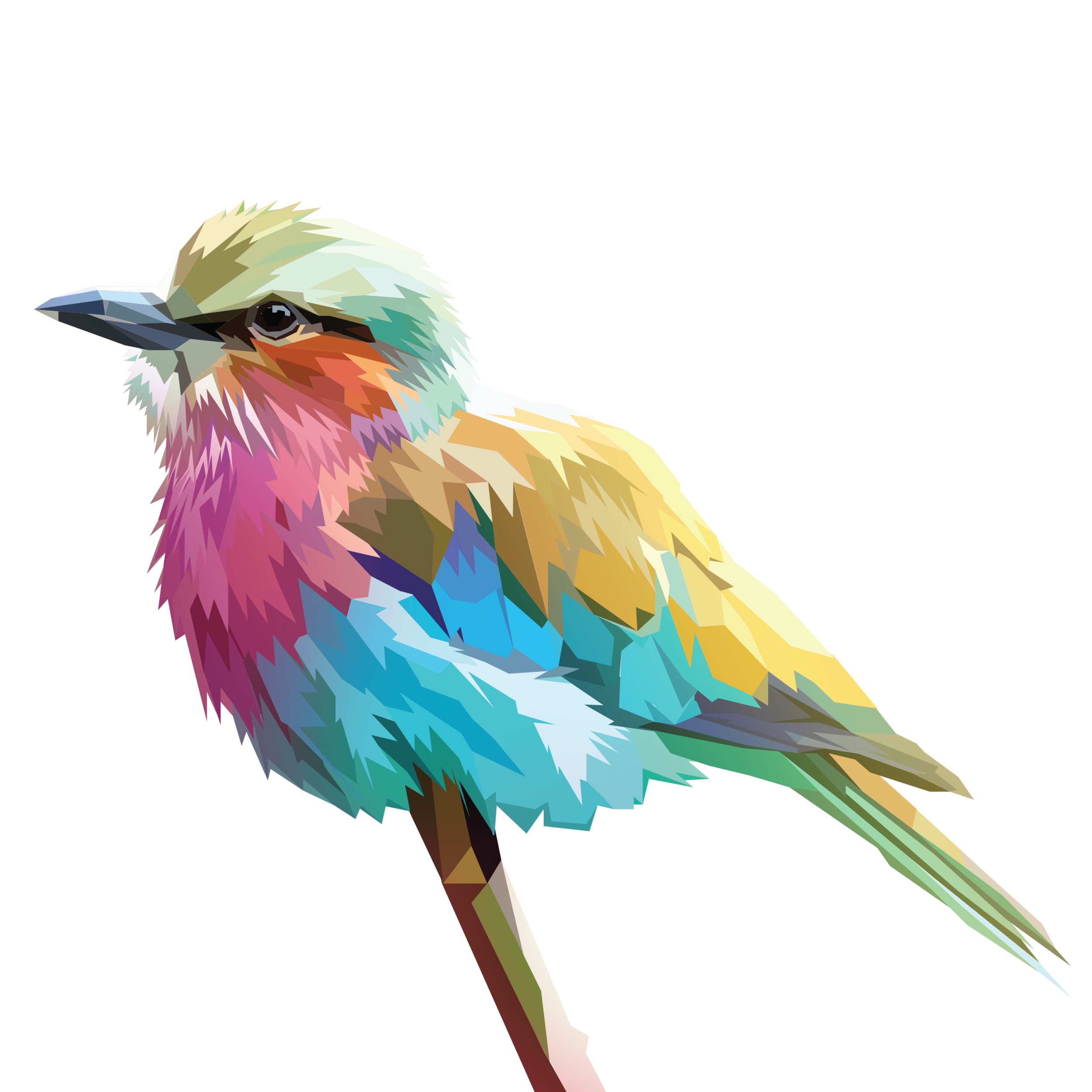 birb.png