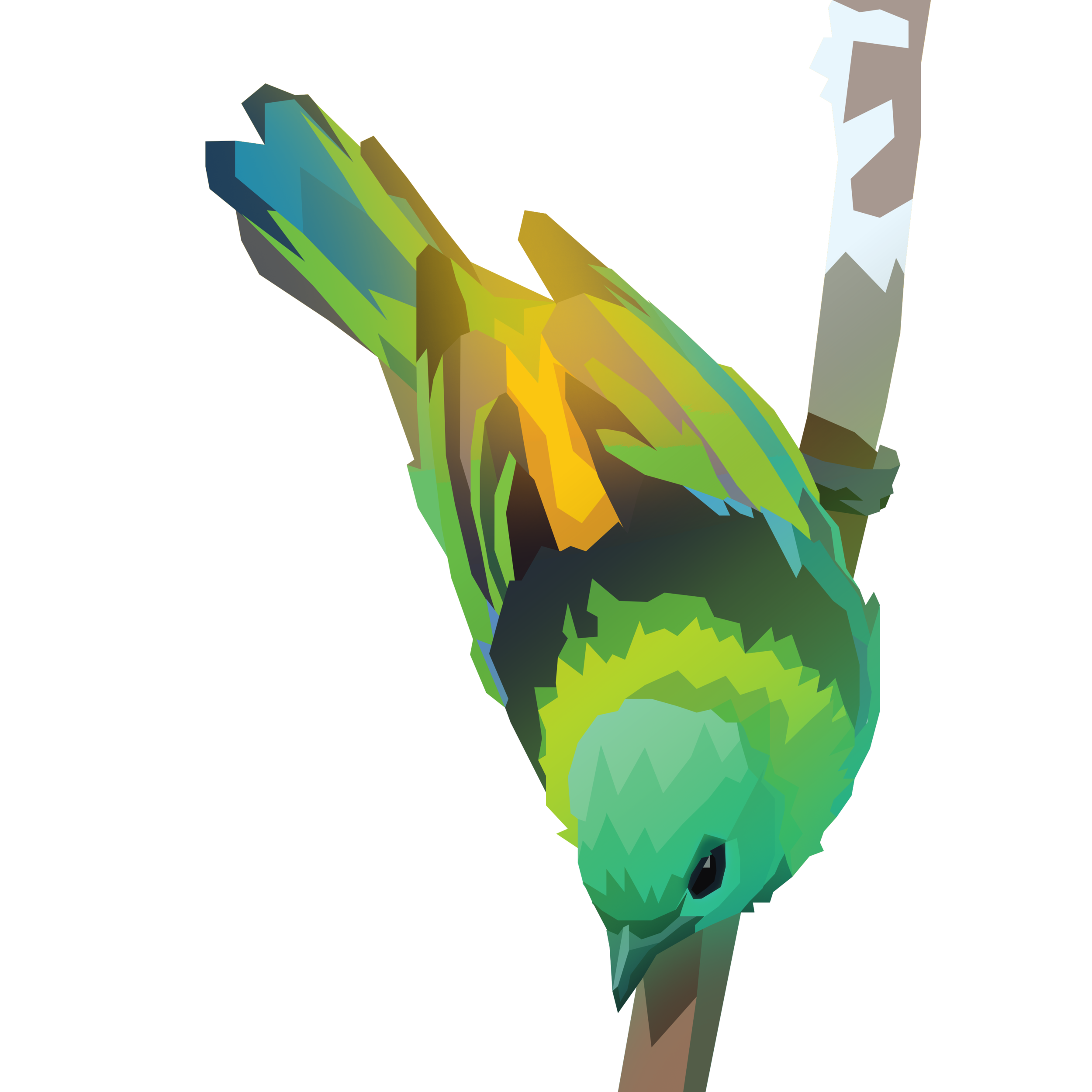 birb_3.png
