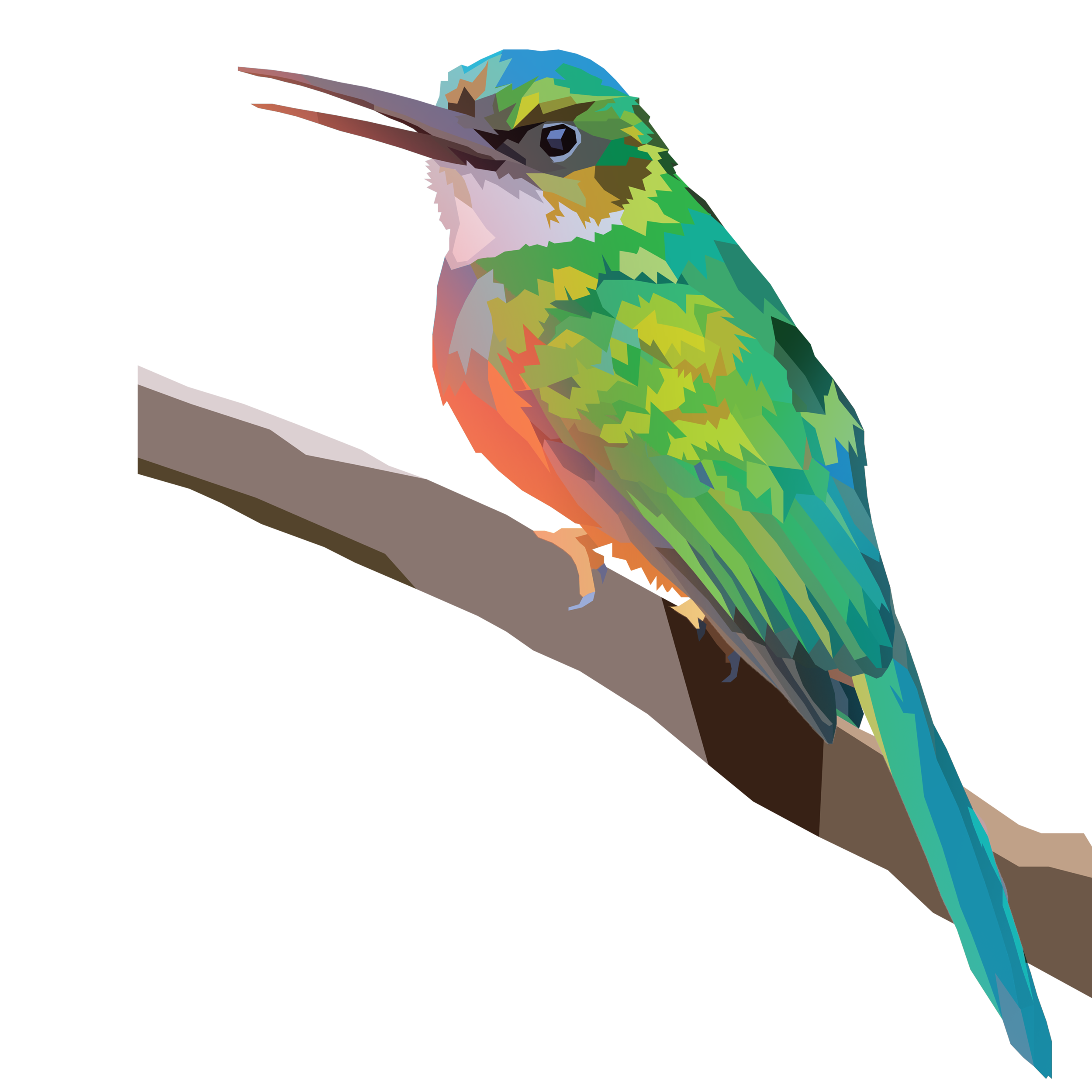 birb_5.png