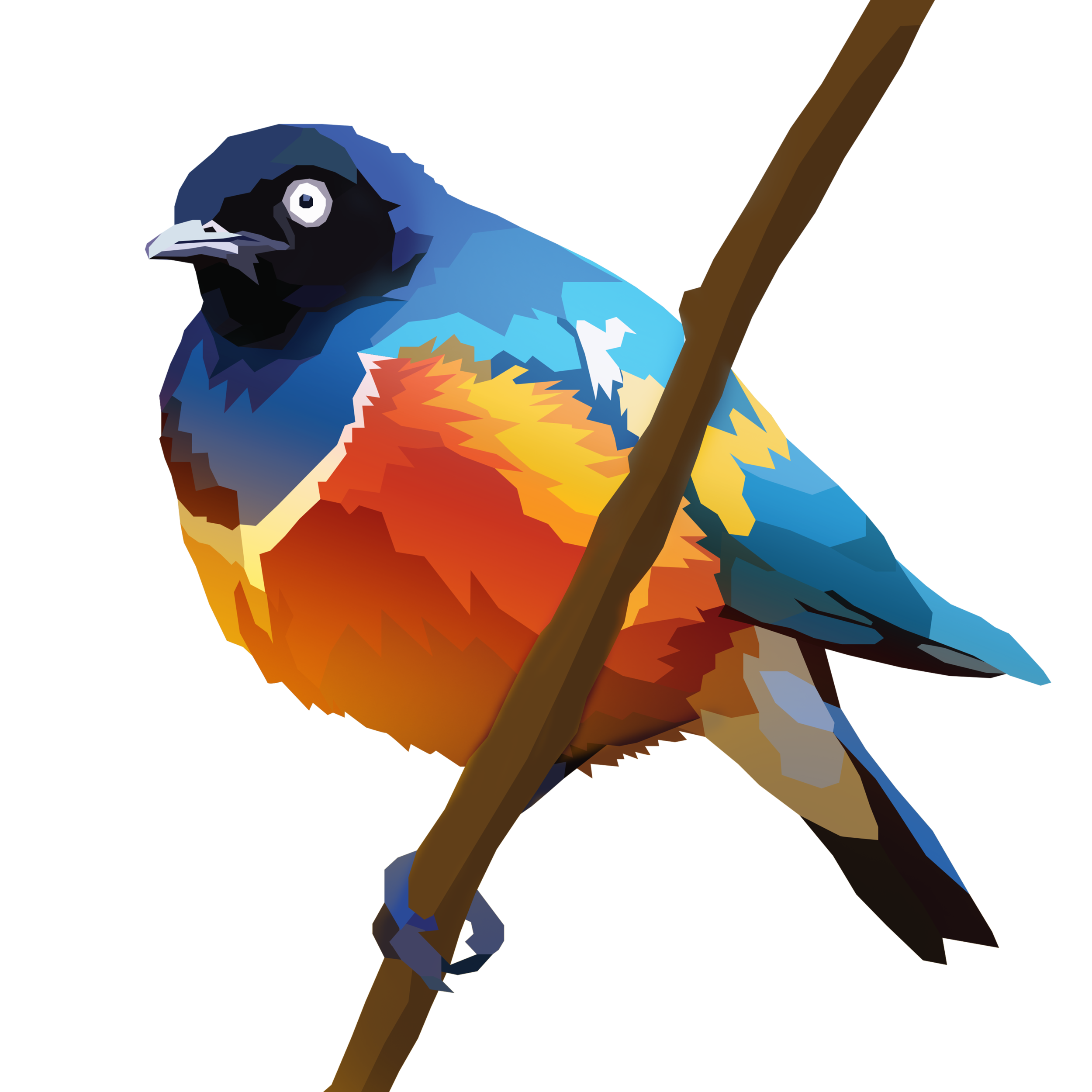 birb_4.png