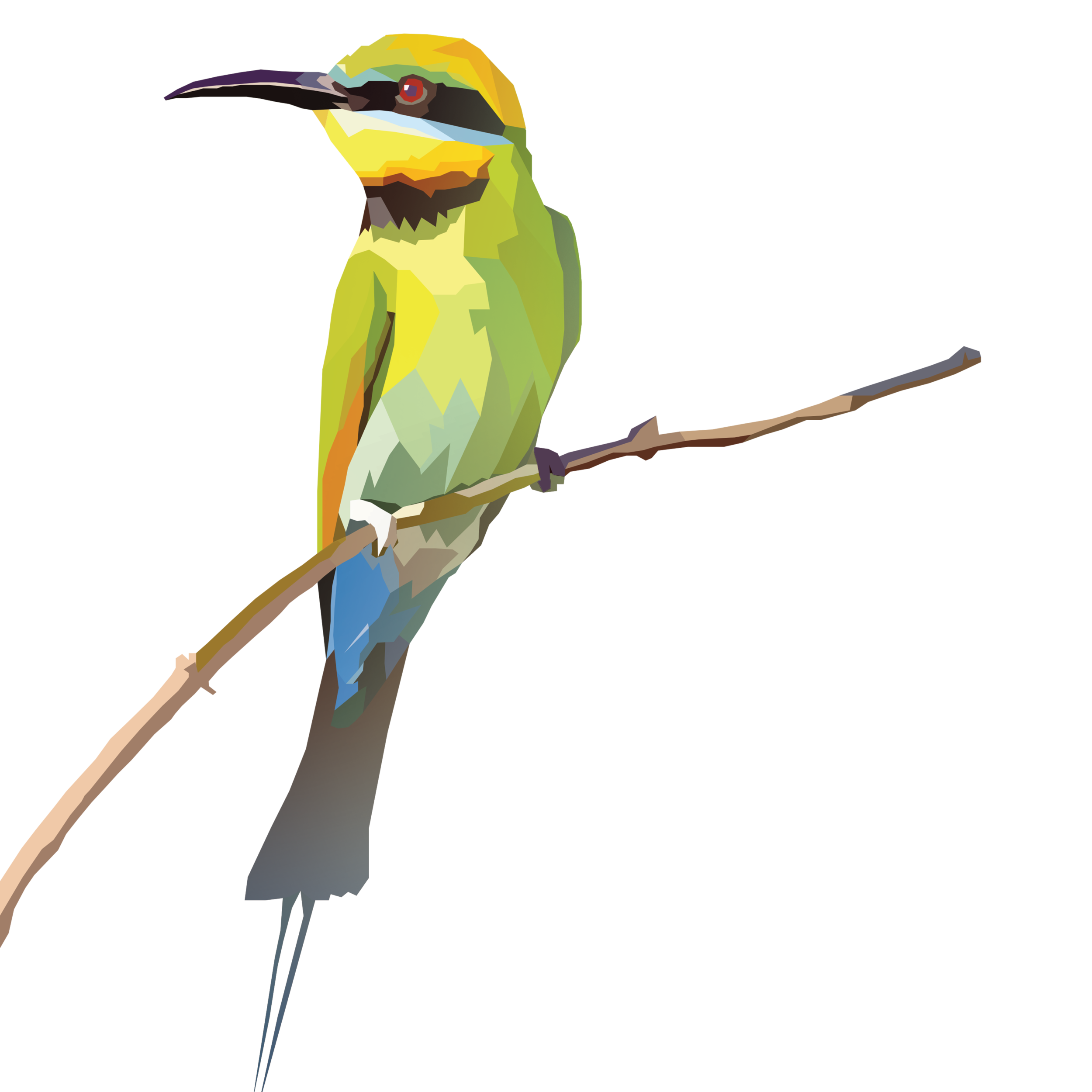 birb_6.png