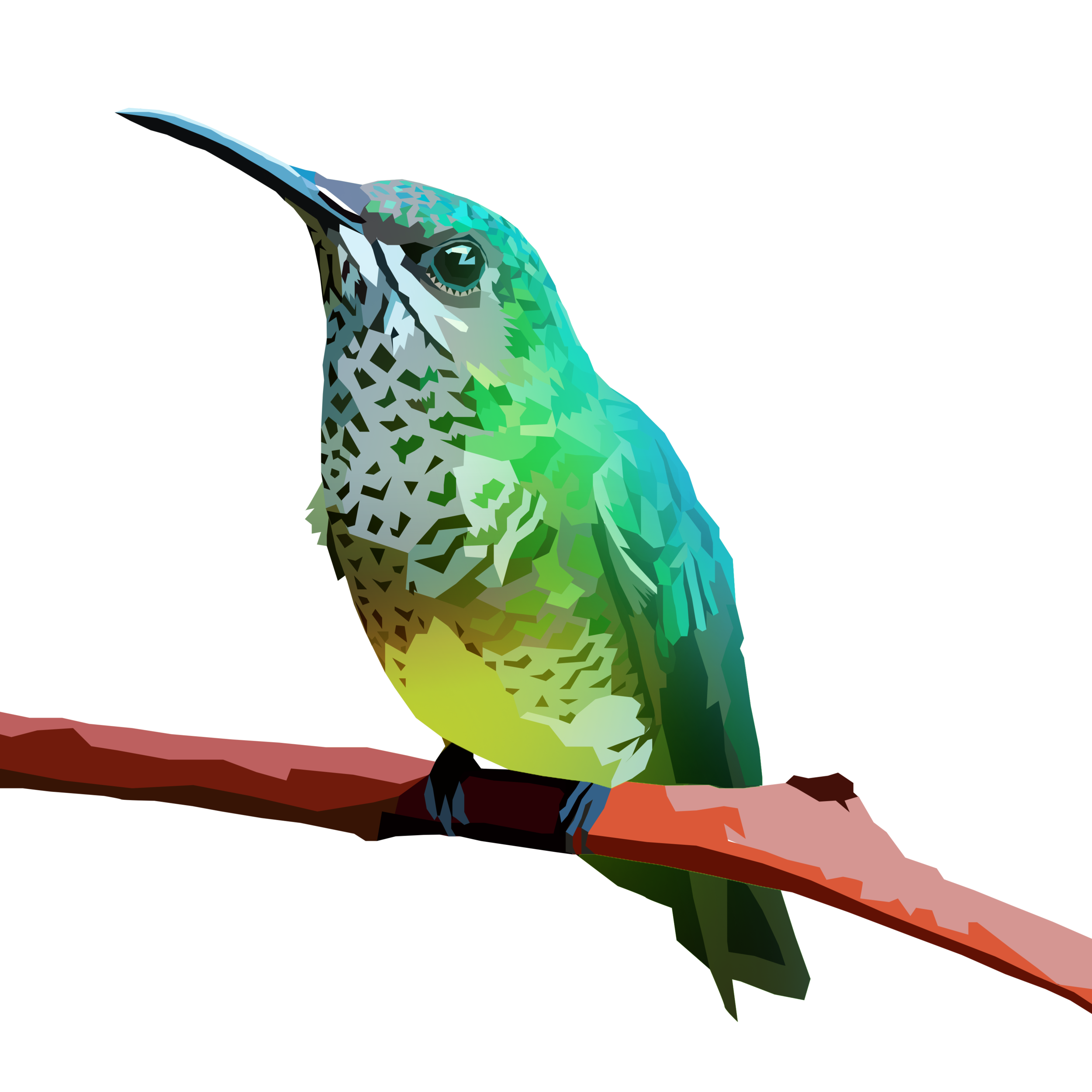 birb_7.png