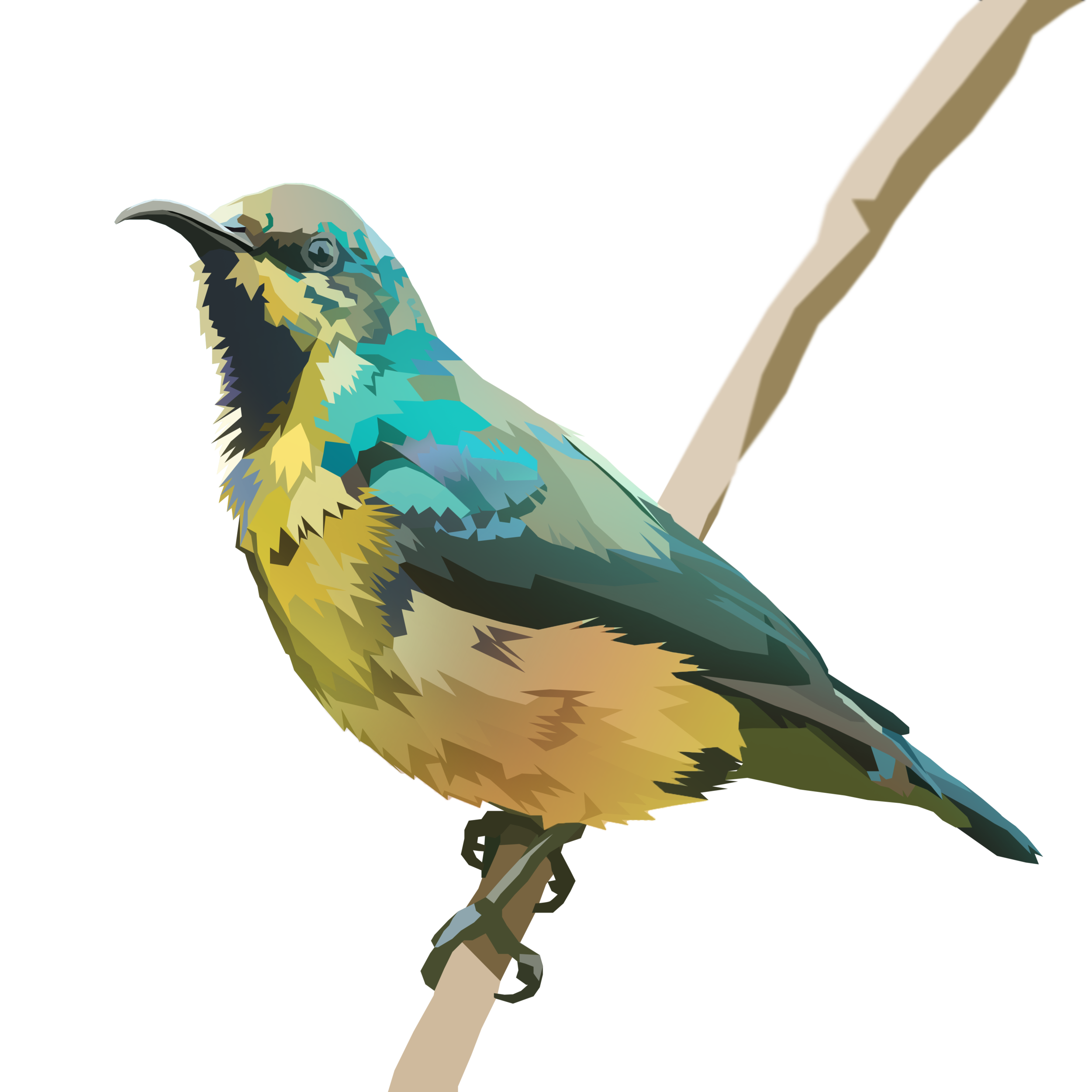 birb_8.png