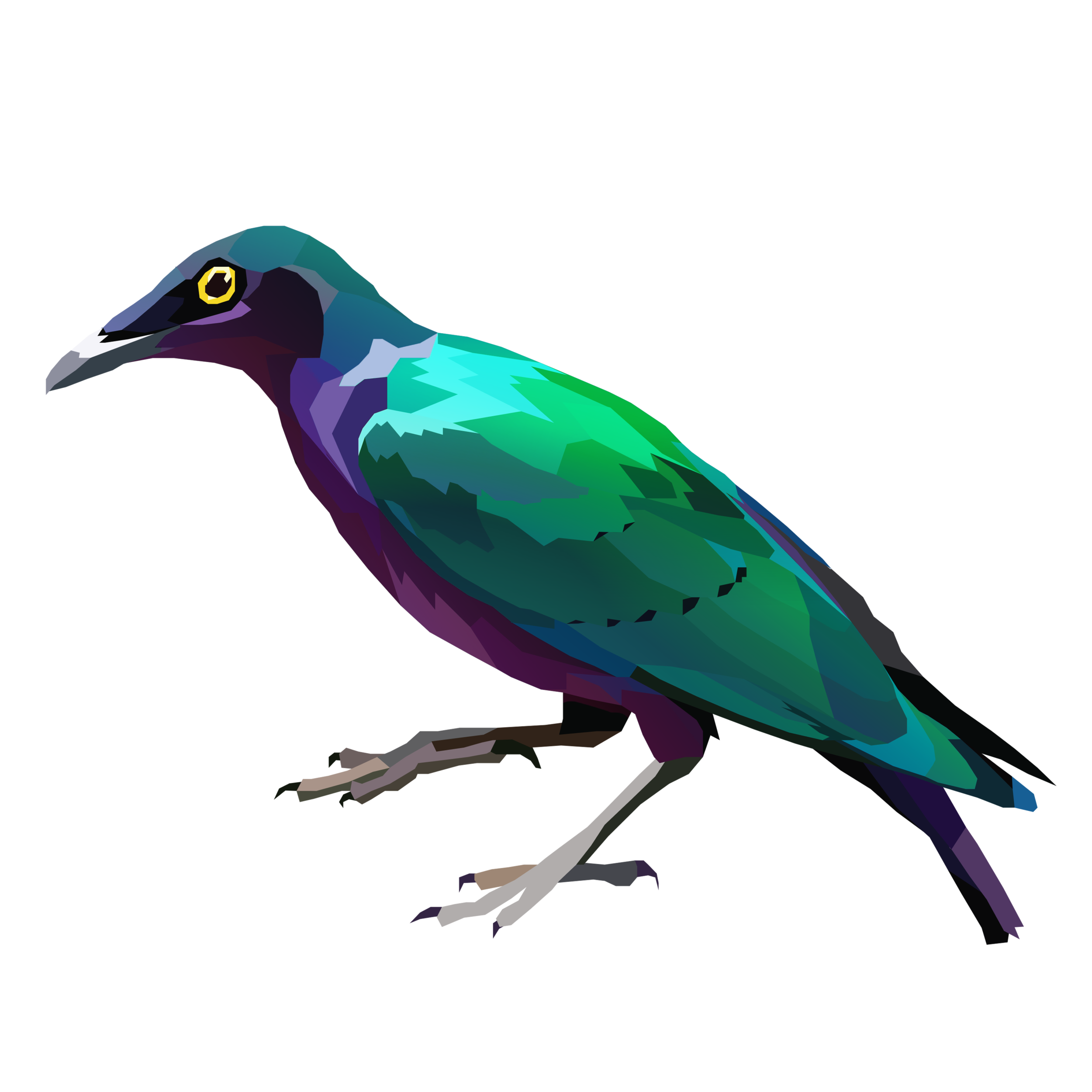 birb_13.png