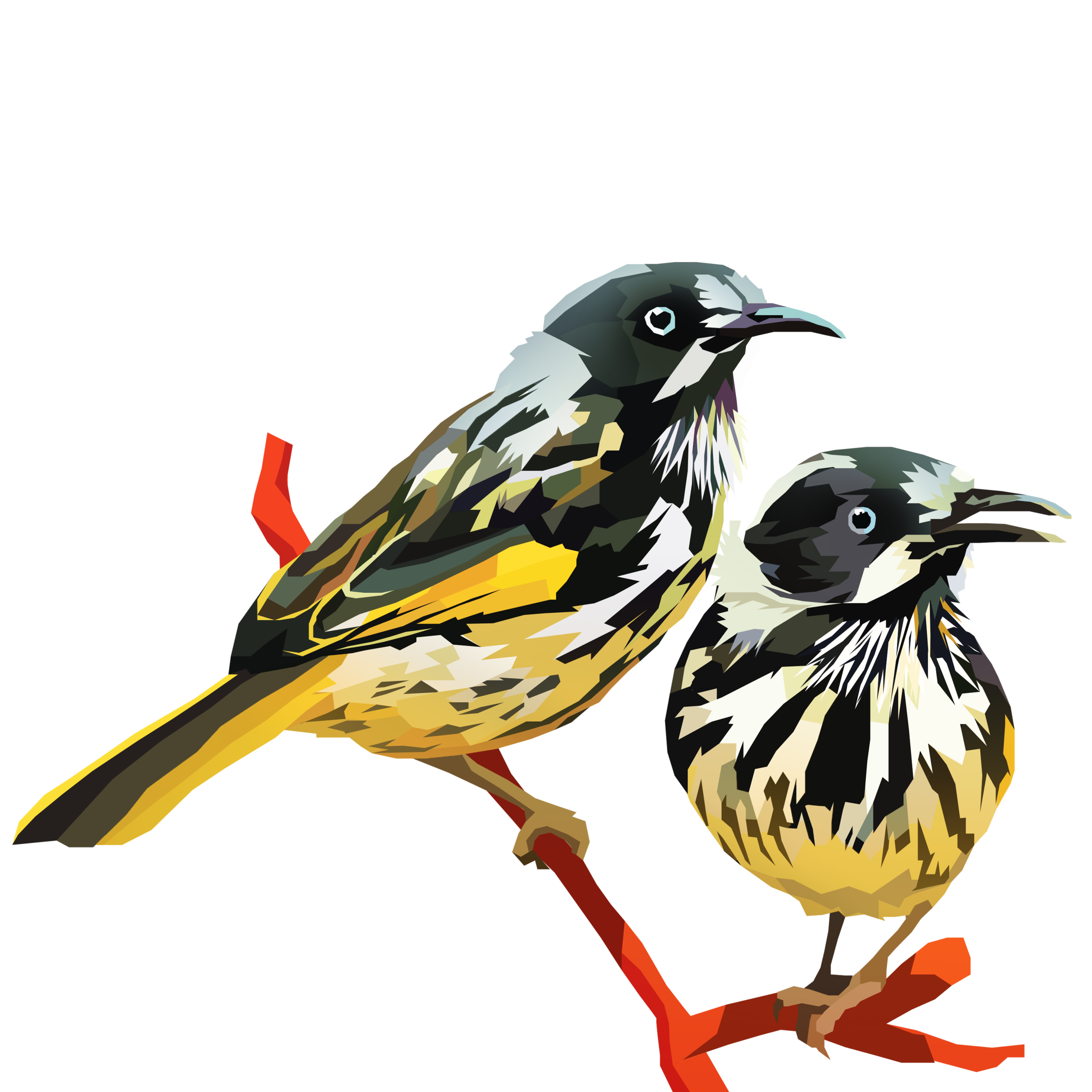 birb_12.png