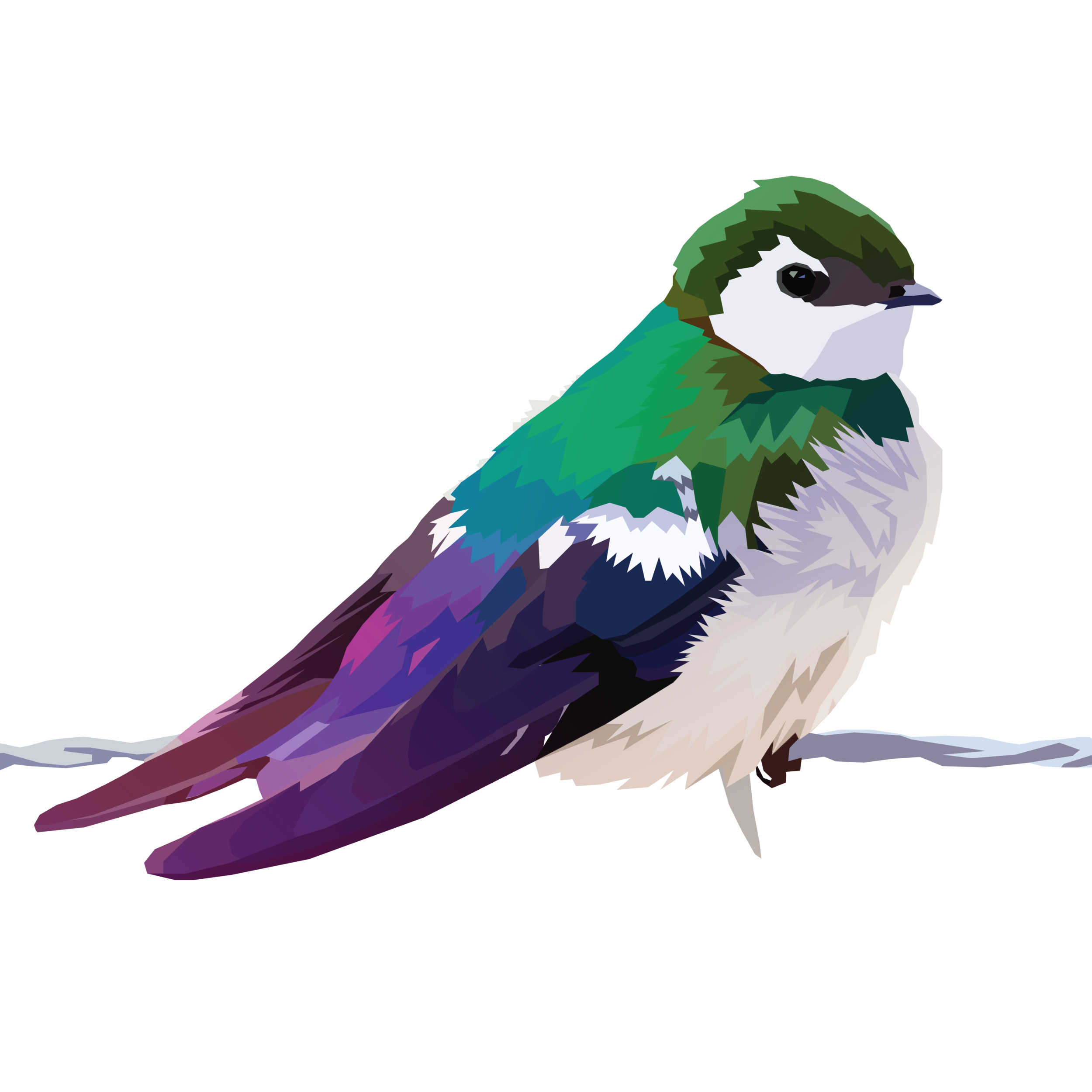 birb_16.png