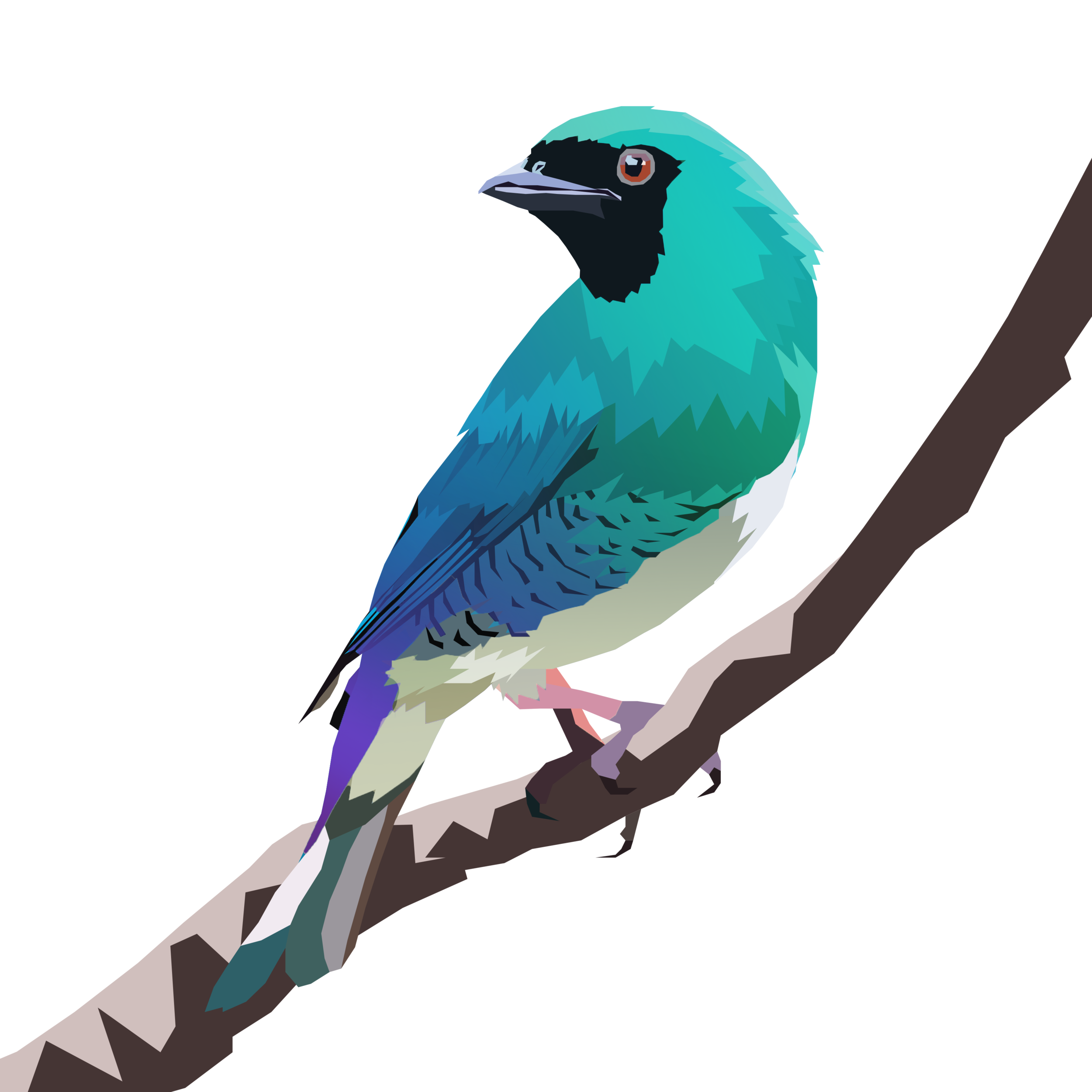 birb_17.png