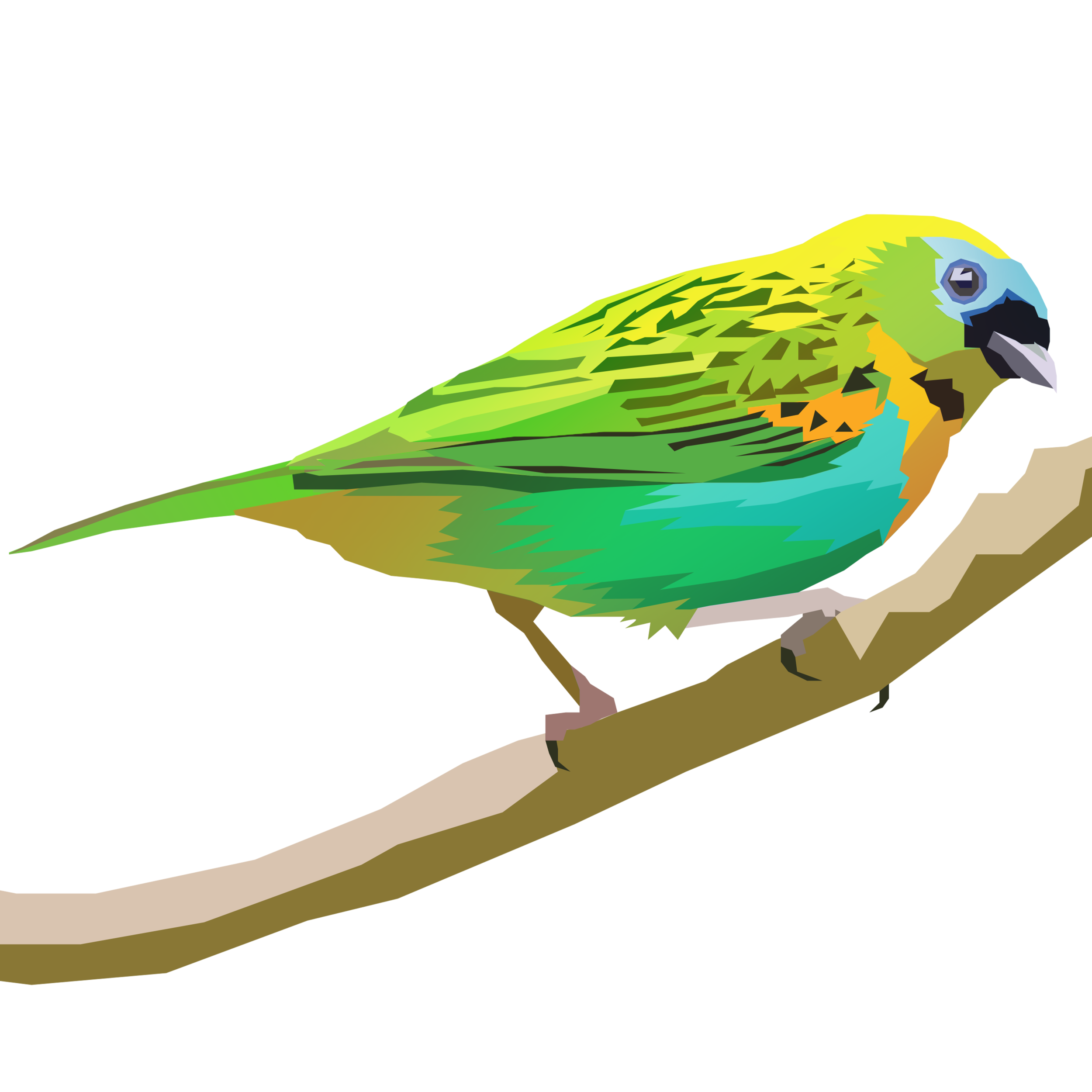 birb_18.png
