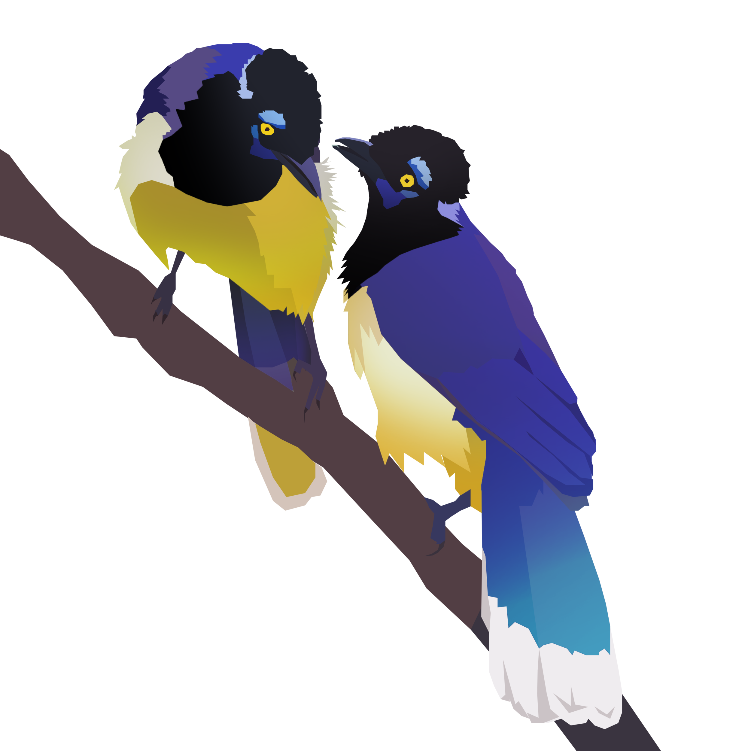 birb_19.png